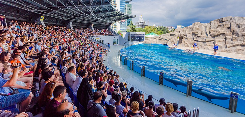 Batumi Dolphinarium