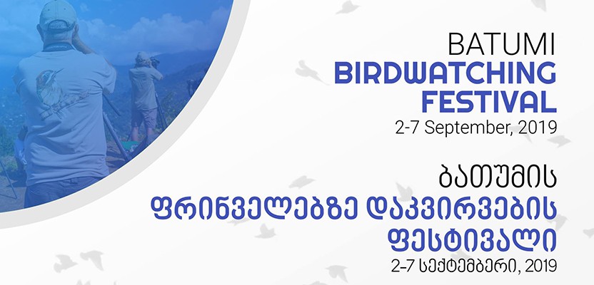 ფრინველებზე დაკვირვების ფესტივალი