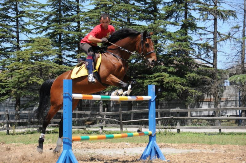 ბათუმის საცხენოსნო კლუბი