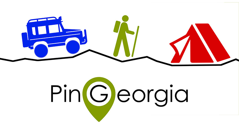 Pin Georgia