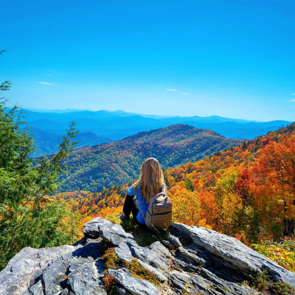 Experience the ultimate adventure in Batumi, Georgia